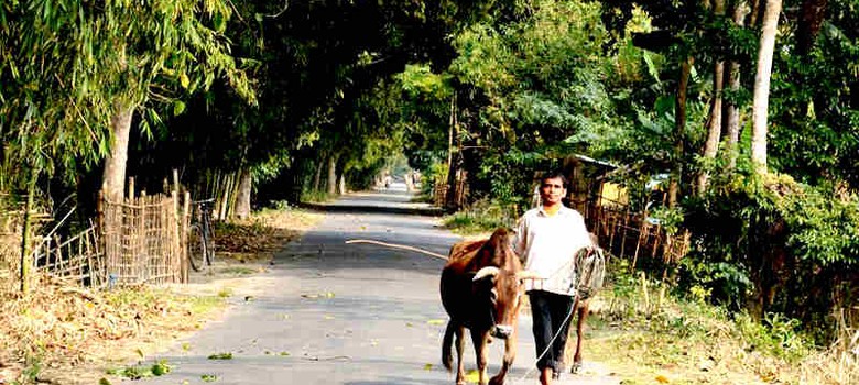 इस तरह असम के माजुली द्वीप का अभिशाप उसका वरदान बन गया